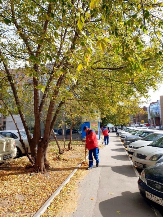 Осенний месячник по благоустройству: работники МУП "РГРЭС" приняли участие в уборке городских территорий